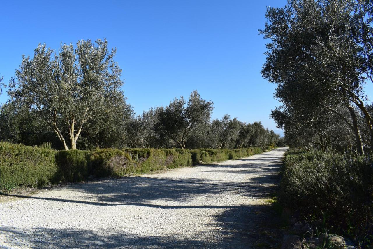 Agriturismo Baglio Pollicarini Pergusa Luaran gambar